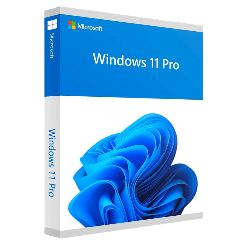 WINDOWS 11 PROFESSIONAL